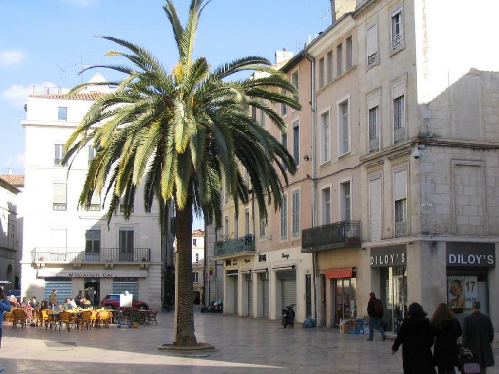 Le Logis De L'Etoile Apartment Nîmes Exterior foto